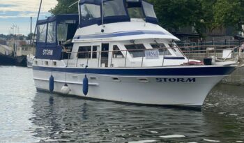 Trader 41+2 ”Storm” – Residential Mooring!